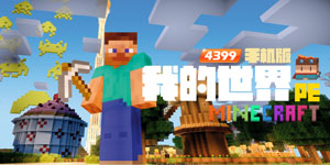 我的世界