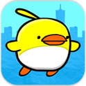 City Bird