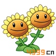 植物大战僵尸全明星双胞向日葵图鉴