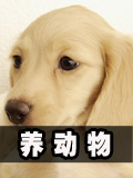 生存战争养动物通用技巧
