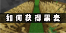 <font color='#FF0000'>生存战争如何获得黑麦 黑麦长什么样图文攻略详解</font>