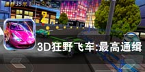 城市狂飙 夜晚的轰鸣《3D狂野飞车:最高通缉》评测