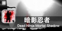 黑夜中的死亡收割者 《暗影忍者》评测