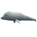 生存战争海豚