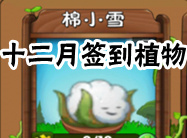 植物大战僵尸2十二月份签到植物抢先看