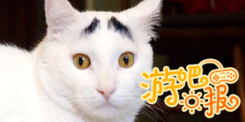 游吧日报：每一天，都期待熟悉的味道
