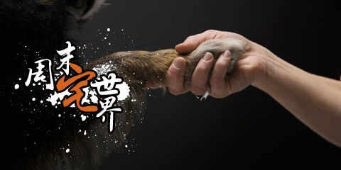 周末宅世界：别闹！这样开车要慢一点