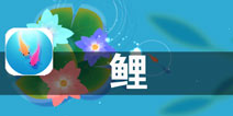 记忆中总有那一片清澈的池塘 《鲤》评测
