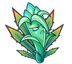 植物大战僵尸2龙舌兰图鉴 1月签到植物
