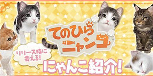 《掌中猫咪》后续情报大公开：可选初始猫种一览