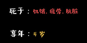 《众生》：人生如棋，包罗万象