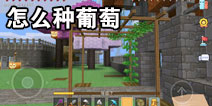 怎么种葡萄 如何搭建种植架攻略