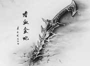 生死狙击玩家手绘-嗜血金蛇
