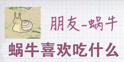 青蛙旅行蜗牛怎么喂 旅行青蛙蜗牛喜欢什么