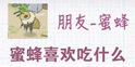 青蛙旅行蜜蜂怎么喂 旅行青蛙蜜蜂喜欢什么