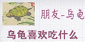 青蛙旅行乌龟怎么喂 旅行青蛙乌龟喜欢什么