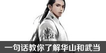 一梦江湖华山和武当职业分析