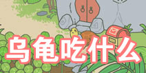 旅行青蛙中国之旅乌龟喜欢吃什么 怎么招待乌龟