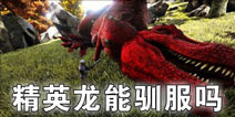 方舟生存进化精英龙是什么 方舟精英龙可以驯服吗