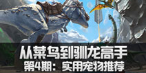 方舟生存进化从菜鸟到驯龙高手正确的修炼方式（第4期）：实用宠物推荐