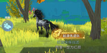 我的起源斑马在哪里刷 斑马捕捉攻略