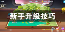 汤姆猫大冒险新手升级攻略技巧 新手怎么升级