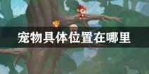 造梦无双宠物在哪里 宠物具体位置分享