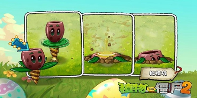 植物大战僵尸2【新版本爆料】新植物-橄榄坑