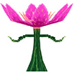 奶块暗放之花属性介绍 艾芙海姆怪物大全