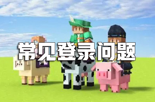 常见登录问题及解决方法