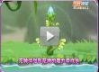 小花仙花神祭起源