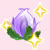 小花仙紫色昙花