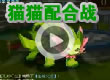 猫猫配合战