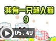 我有一只超人猫9