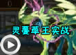 洛克王国灵蔓草王实战
