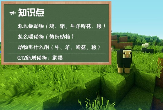 我的世界怎么养动物