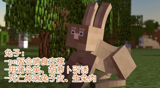 我的世界手机版兔子