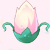 小花仙月见草 月见草花种
