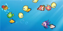 开心水族箱气泡有什么用 气泡用途