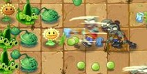 植物大战僵尸2功夫世界主线第13关攻略