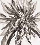 精灵手绘---魔神·诺亚