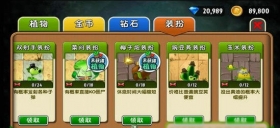 植物大战僵尸2功夫世界全新植物装扮技能