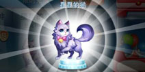天天酷跑星星的猫怎么样 星星的猫搭配