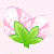 小花仙苜蓿  苜蓿花花种