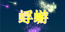 顺转即逝华丽转身 《蜉蝣》评测