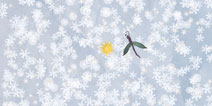 蜉蝣第四关攻略 漫天飘雪 冬之舞蹈