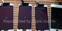 iPhone6面板曝光 谁敢说我们屏幕小