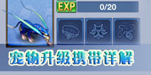 神武手游宠物宝宝怎么升级 宝宝升级方法