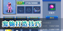 神武手游宠物怎么得 平民宠物打造方法