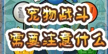 口袋妖怪宠物战斗解析 精灵战斗属性介绍